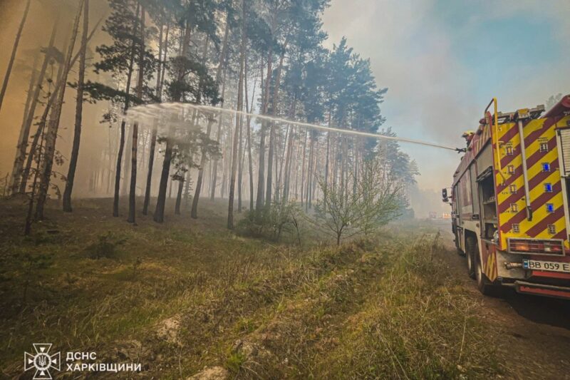На Харківщині триває ліквідація лісової пожежі