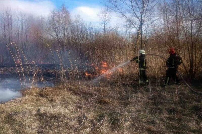На Київщині двоє людей загинули через спалювання сухої трави