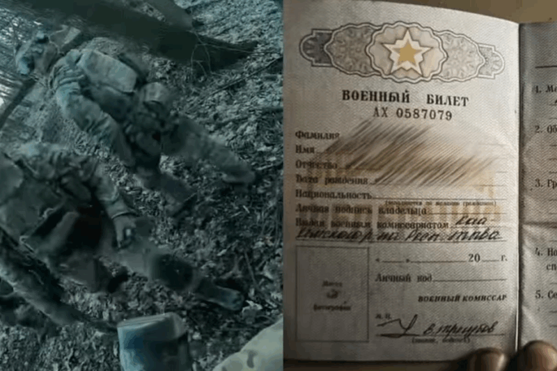 ССО знищили взвод корейців на Курщині