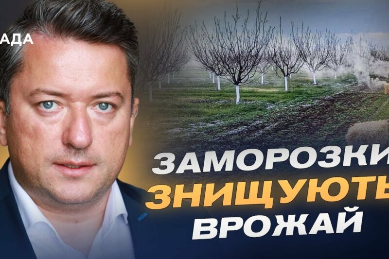Заморозки ЗНИЩУЮТЬ врожай: що буде з цінами на фрукти та зерно?  | Дмитро Соломчук