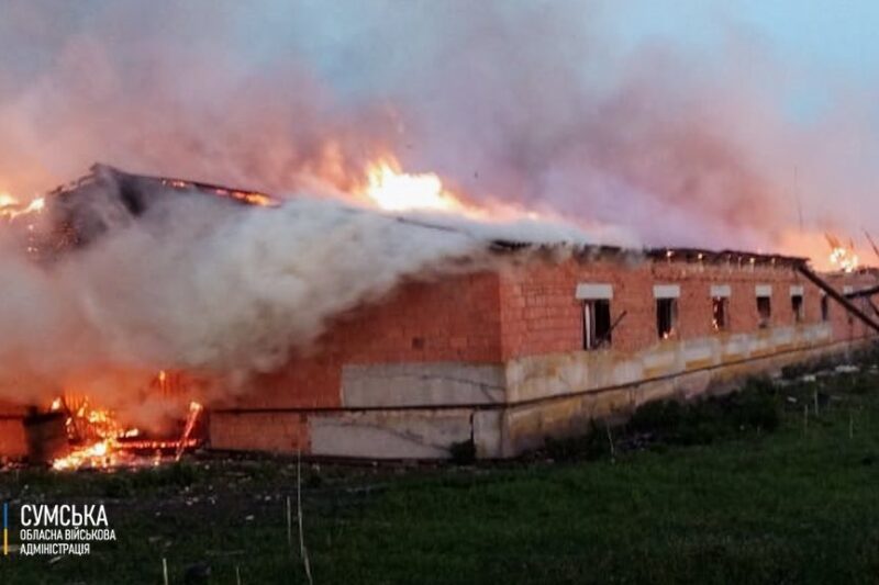На Сумщині загинули сотні свійських тварин через російську атаку