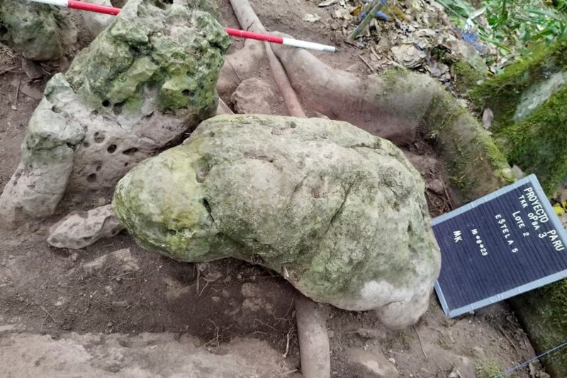 У джунглях Гватемали знайшли місто мая віком майже 3 тисячі років