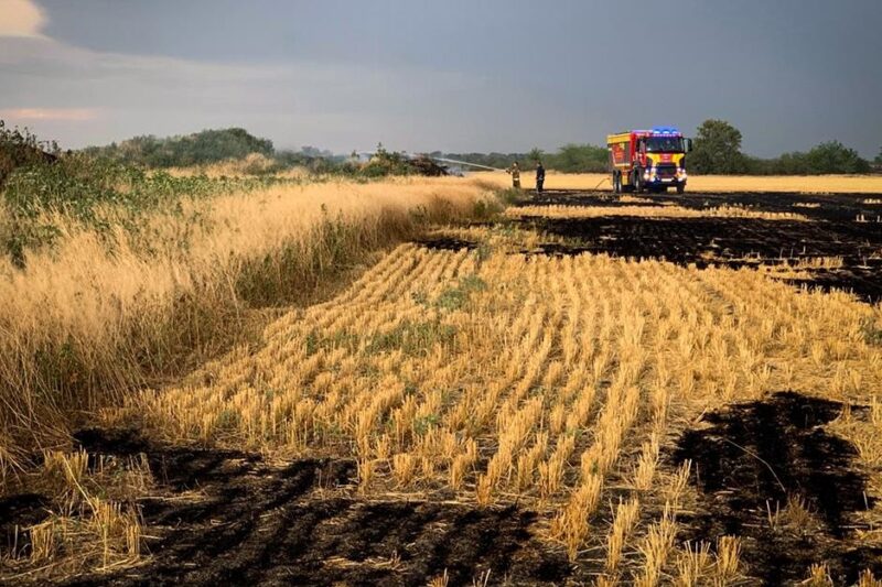 На Миколаївщині вигоріло 70 гектарів пшениці