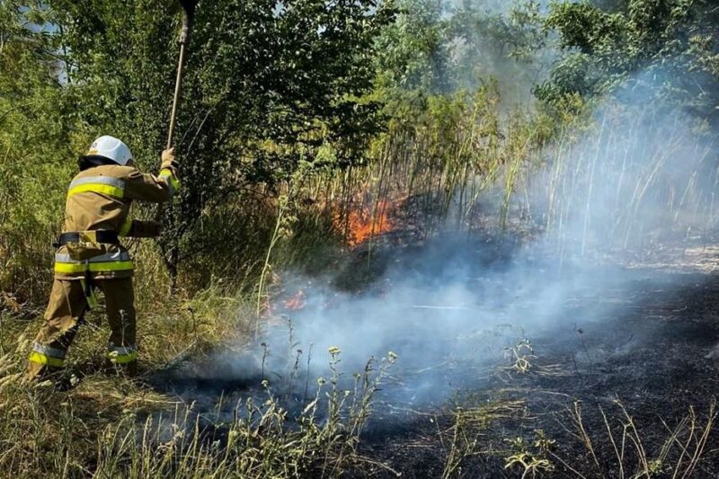 На Одещині вирують масштабні пожежі: є жертва