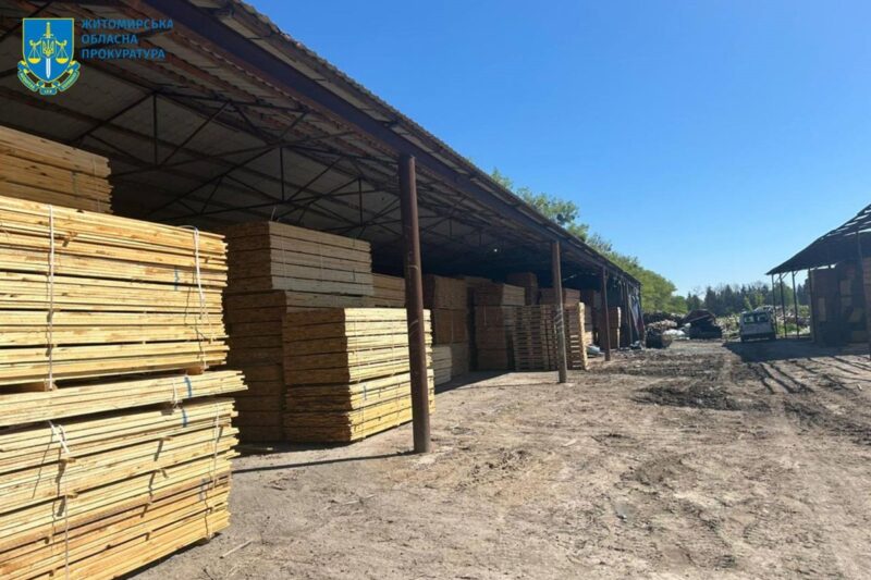 На Житомирщині судитимуть посадовців за розкрадання лісу