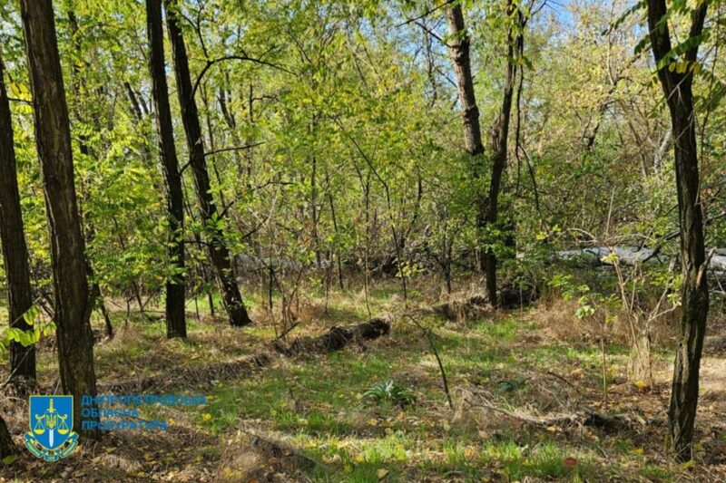 Незаконна вирубка лісу на Дніпропетровщині призвела до 34 млн збитків
