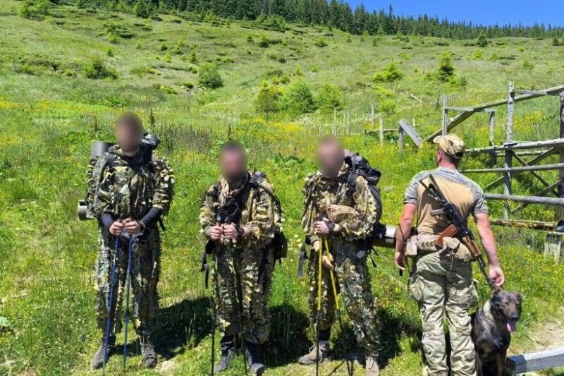 Новини України - В Карпатах службовий пес допоміг затримати ухилянтів