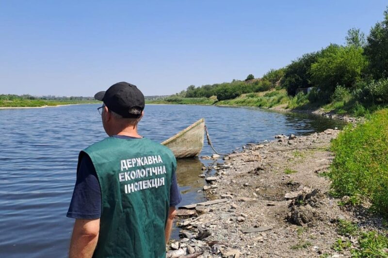 В озері на Запоріжжі зафіксували масовий мор риби