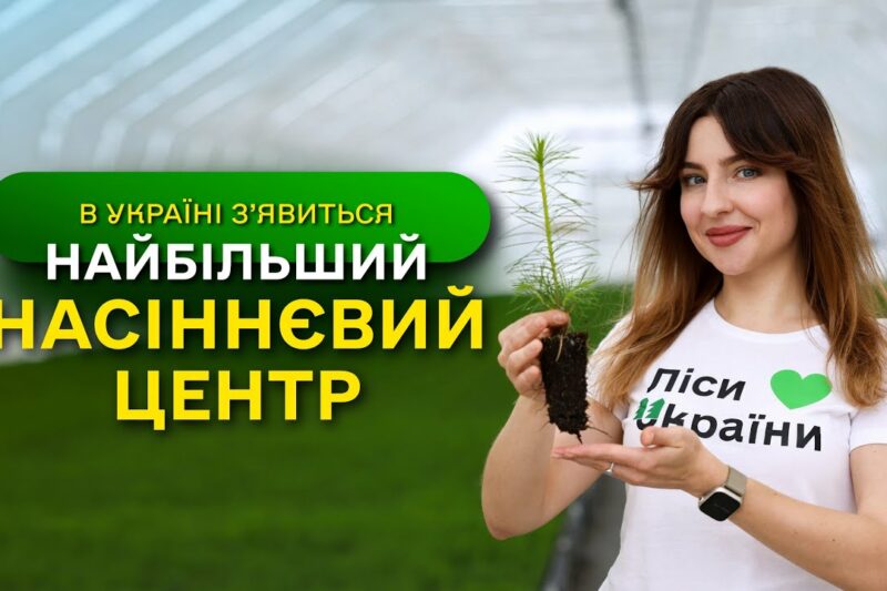 НАЙБІЛЬШИЙ в Україні ЗАВОД з виробництва СІЯНЦІВ / ДП “Ліси України” виконує програму ЗЕЛЕНА КРАЇНА