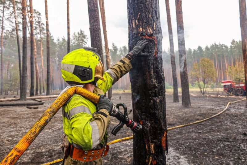 На Харківщині ліквідували масштабну лісову пожежі