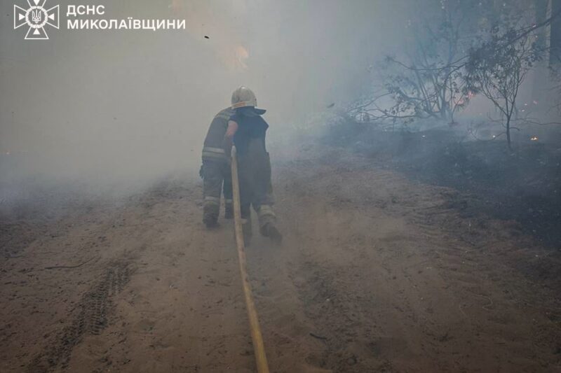 На Миколаївщині вигоріло 93 гектари території
