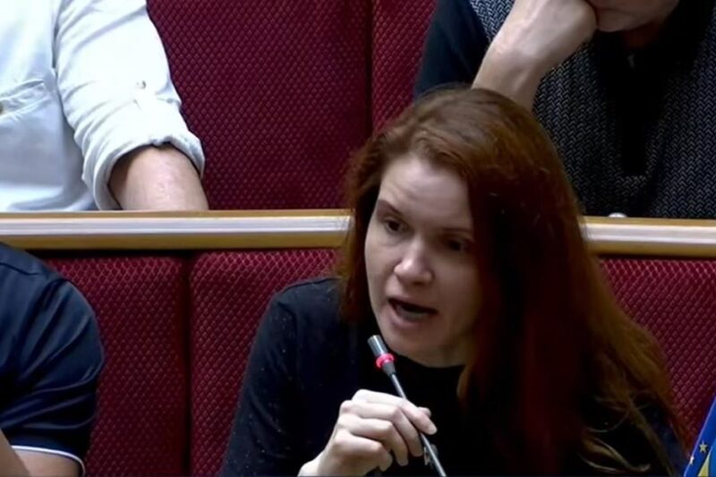 У Раді прийняли рішення відносно Безуглої