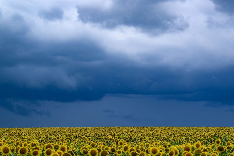 В Україні прогнозують до +33°, подекуди грози та град
