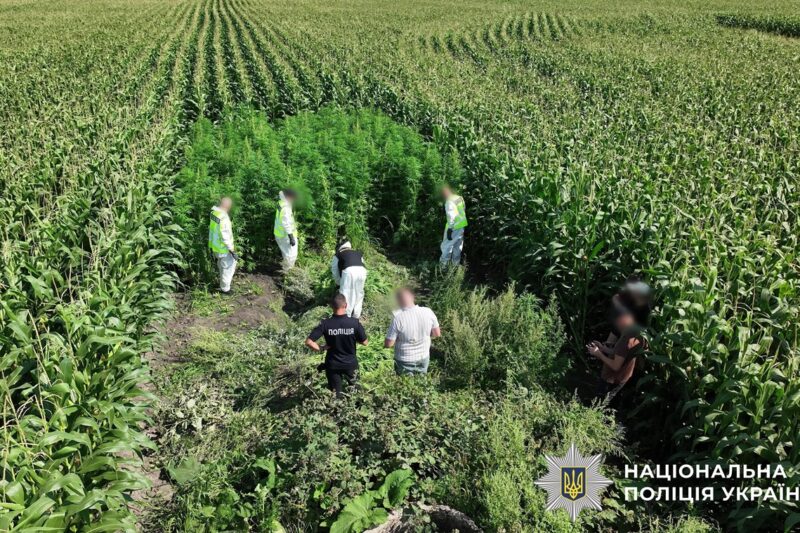 В Україні провели масштабну операцію Джентельмени