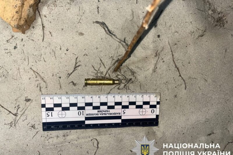 Жителю Київщини загрожує до трьох років за вбивство алабая