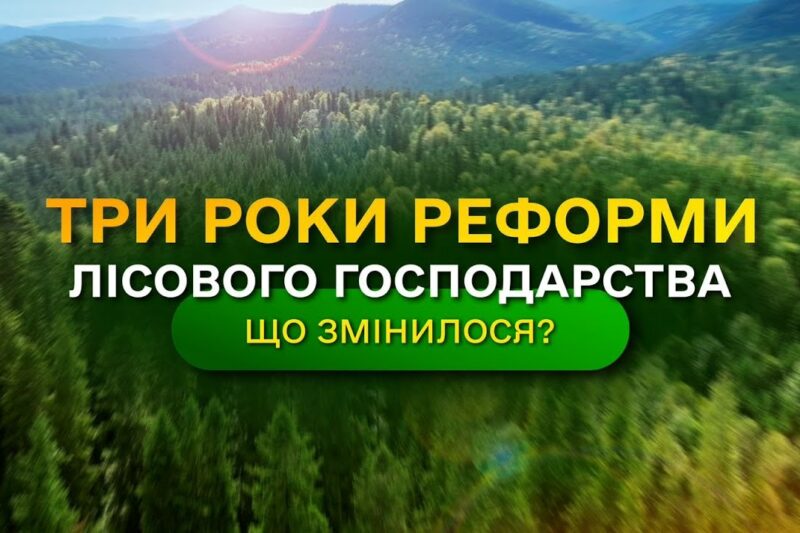 Результати ЛІСОВОЇ РЕФОРМИ – що отримала УКРАЇНА? / ДП “Ліси України”