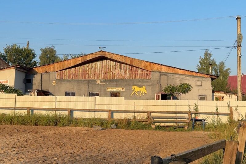 Росіяни вдарили по кінному клубу на Київщині