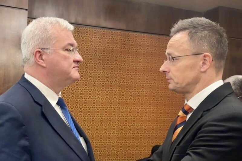Сибіга обговорив з Сійярто рух України в ЄС