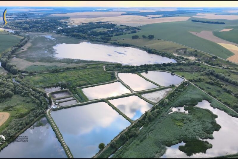 Перлина Поділля: історія успіху одного з найбільших рибних господарств України