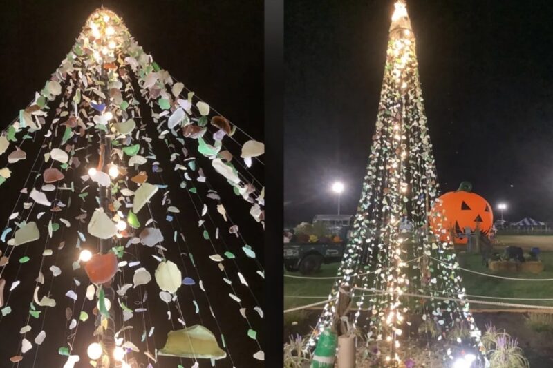 Американець створив 4,5-метрову ялинку з морського скла