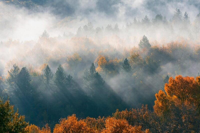 Гороскоп для всіх знаків зодіаку на 14 жовтня 2025 року