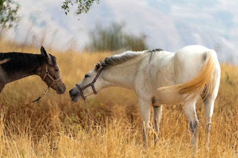 Гороскоп для всіх знаків зодіаку на 21 жовтня 2025 року