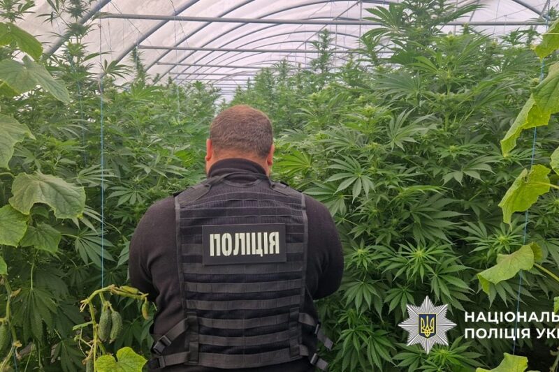 На Дніпропетровщині викрили наркоаграріїв
