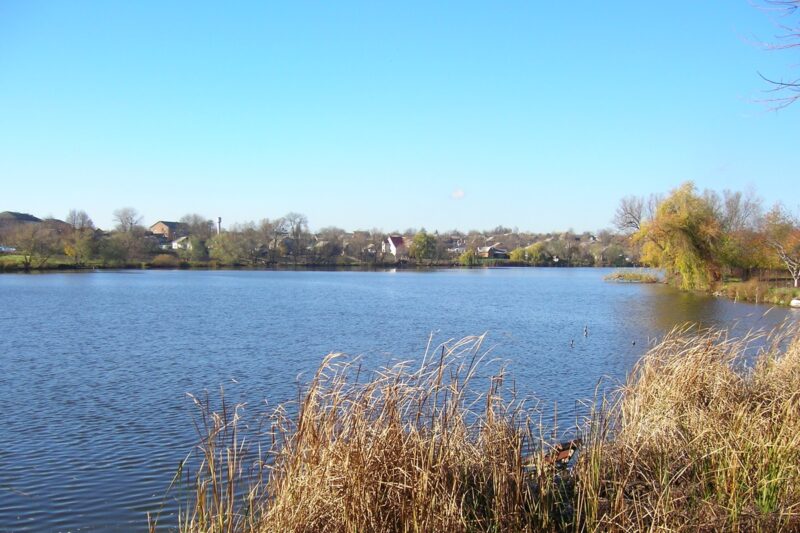 На Гайсинщині зафіксували масовий мор риби