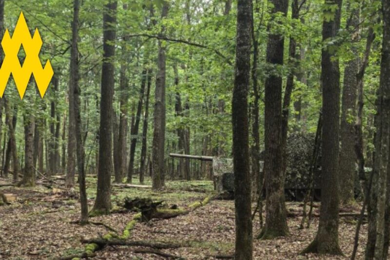 Партизани допомогли зірвати наступ РФ під Вовчанськом