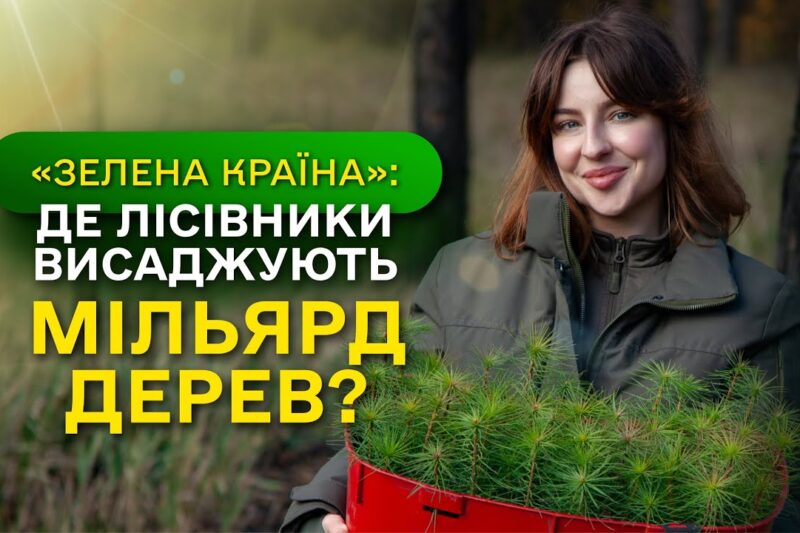 Замість уламків РАКЕТ – молодий ЛІС / ДП “Ліси України” завершує програму Президента ЗЕЛЕНА КРАЇНА
