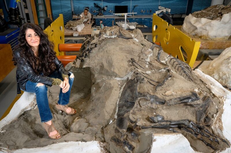 Технології - Вчені відкрили новий малий вид тиранозавра