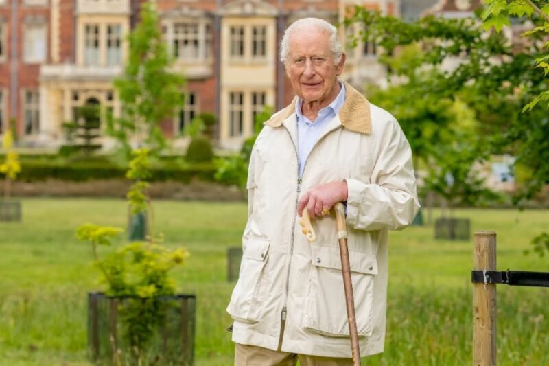 Букінгемський палац оприлюднив новий портрет монарха