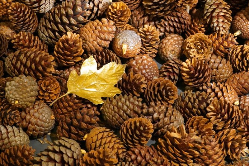 Гороскоп для всіх знаків зодіаку на вихідні 22-23 листопада 2025 року