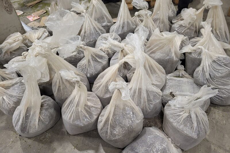 У Литві виявили найбільшу в історії партію героїну