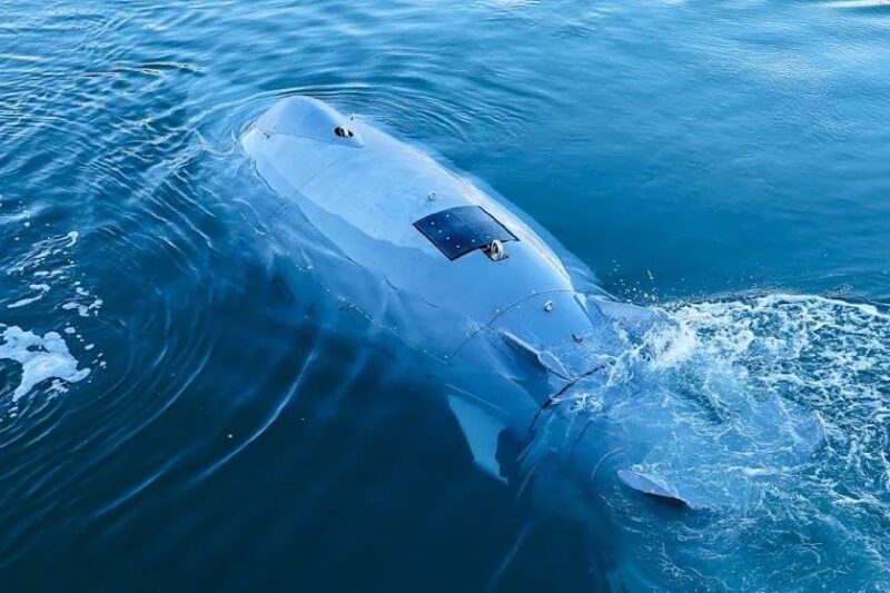 У Німеччині створили дрони-“акули” для захисту Балтики