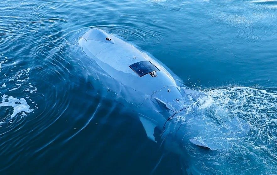 Новини світу - У Німеччині створили дрони-"акули" для захисту Балтики