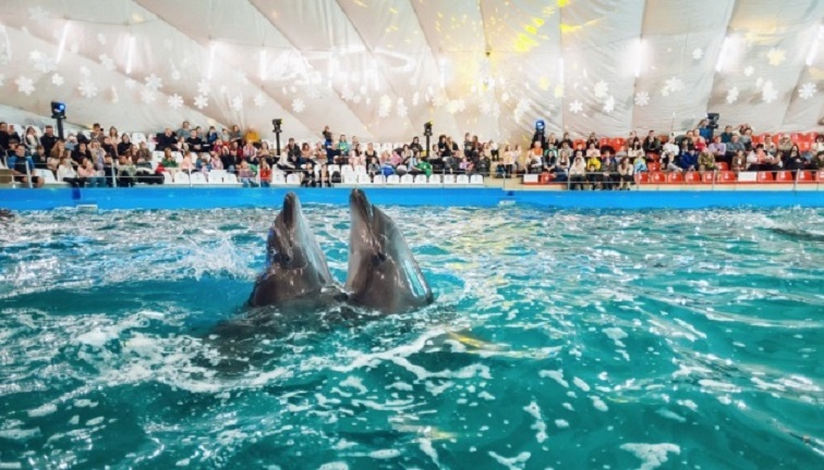 В Одесі будівлю дельфінарію Немо арештували за борги