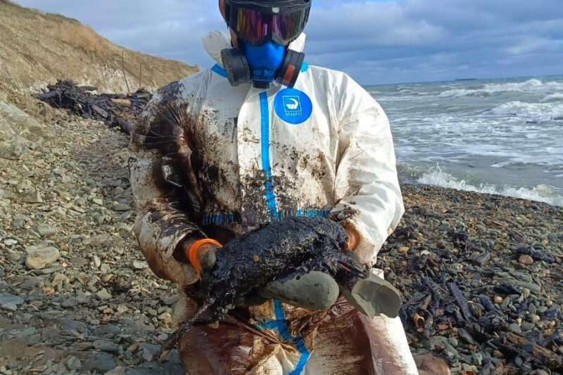 Величезні мазутні плями зафіксували в Керченській протоці – соцмережі