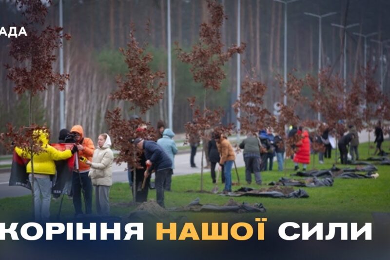 Кожен дуб – історія життя та подвигу полеглого воїна