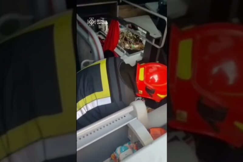 Франківщина. Автобус із 30 пасажирами злетів у кювет: один загиблий, п’ятеро поранених