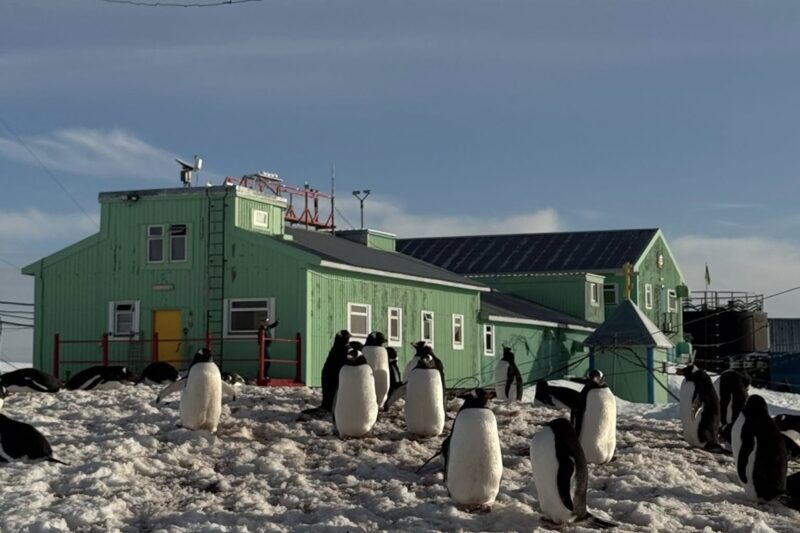 Метеорологи на Вернадському зафіксували кліматичну аномалію