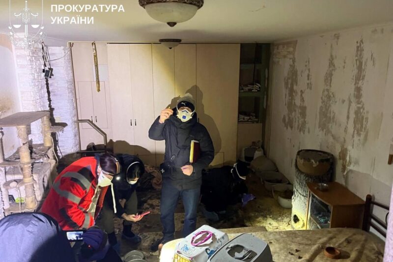 На Київщині розслідують загибель понад 50 котів