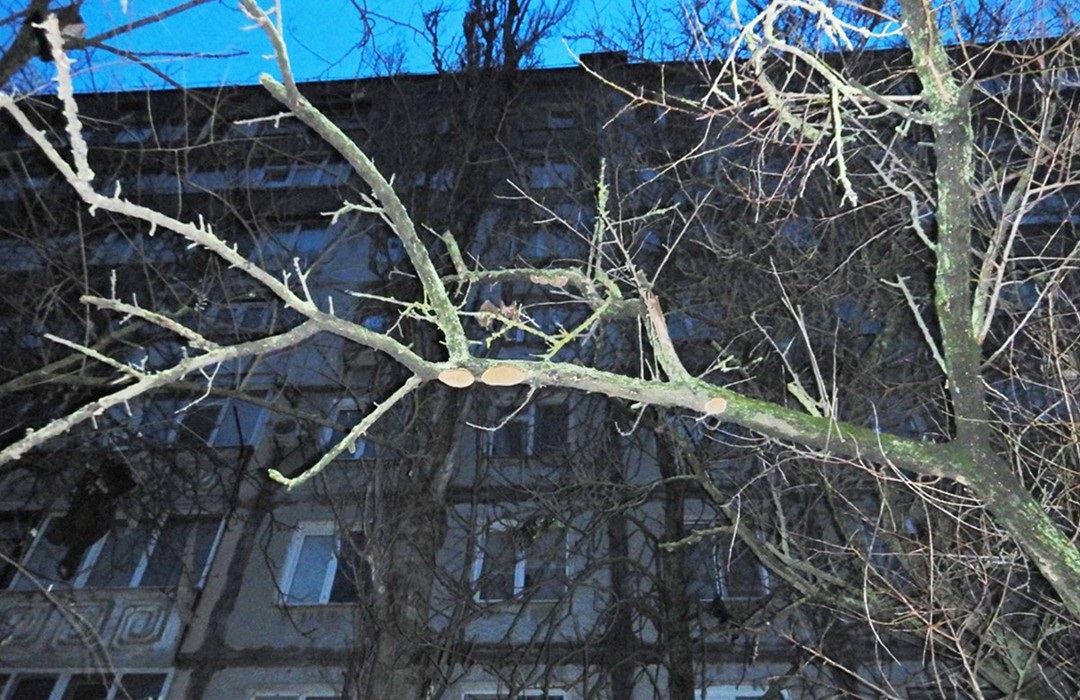 Новини України - Поліціянти розслідують загибель дівчини у заблокованій квартирі Миколаєва