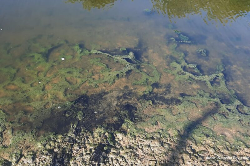 Річку в Луганську окупанти перетворили на токсичний колектор – ЦНС