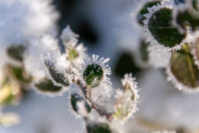 Синоптики розповіли, якою буде погода на Різдво