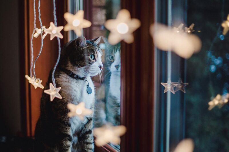 Синоптики спрогнозували, якою буде погода в неділю