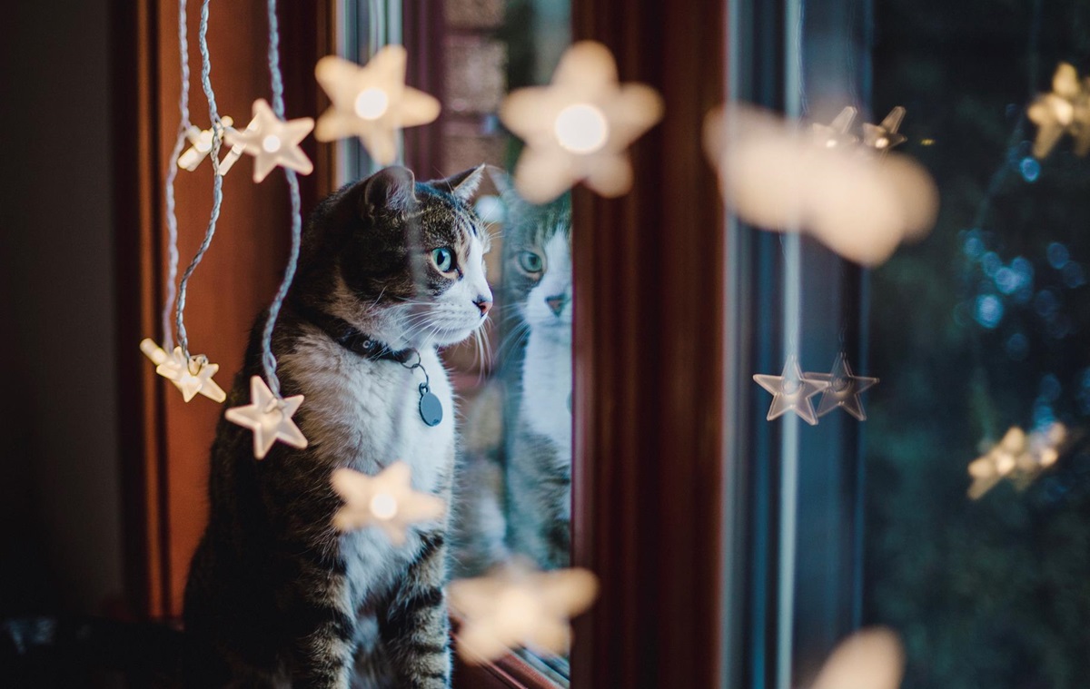 Новини України - Синоптики спрогнозували, якою буде погода в неділю