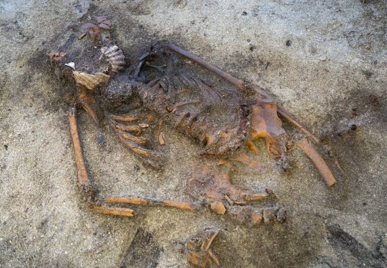 У Швеції знайшли поховання жінки-вікінга з мушлею в роті