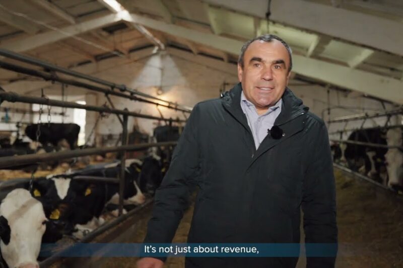 ARISE: Історії стійкості – відеопроєкт про результати підтримки українського бізнесу