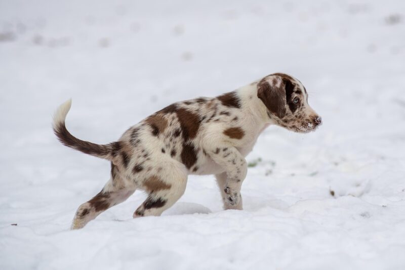 Гороскоп для всіх знаків зодіаку на 14 січня 2026 року